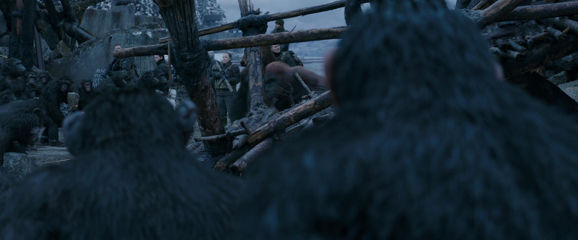 War for the Planet of the Apes (2017) HD screenshot 8219