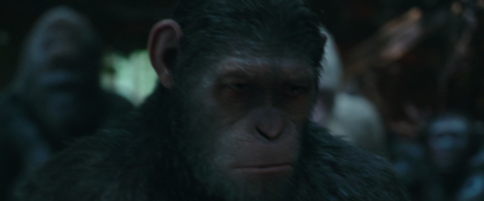War for the Planet of the Apes (2017) screencap 822