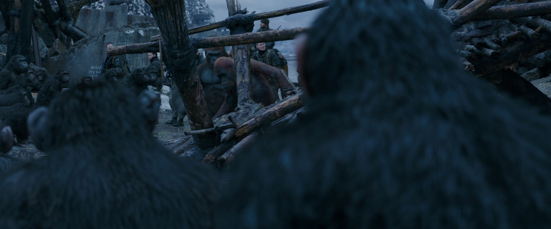 War for the Planet of the Apes (2017) screencap 8220