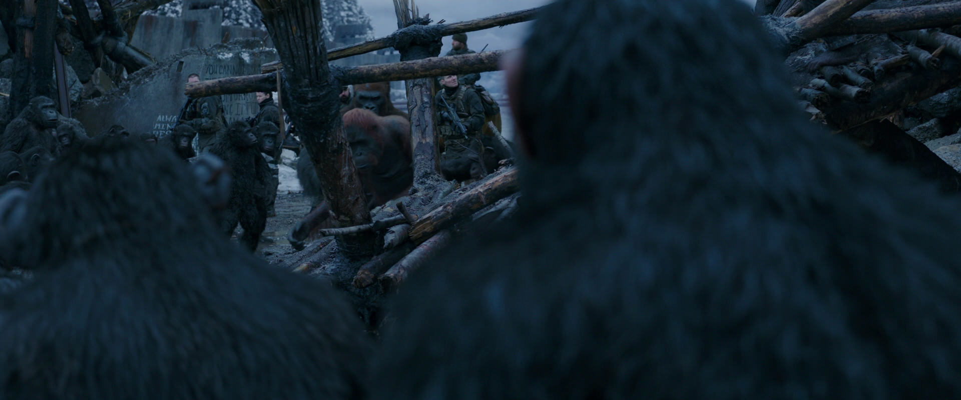 War for the Planet of the Apes (2017) movie still 8221