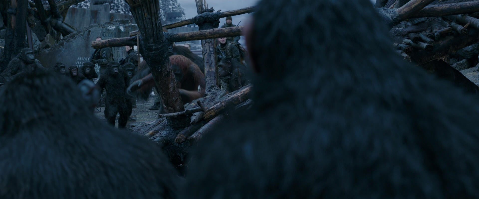 War for the Planet of the Apes (2017) HD screenshot 8222