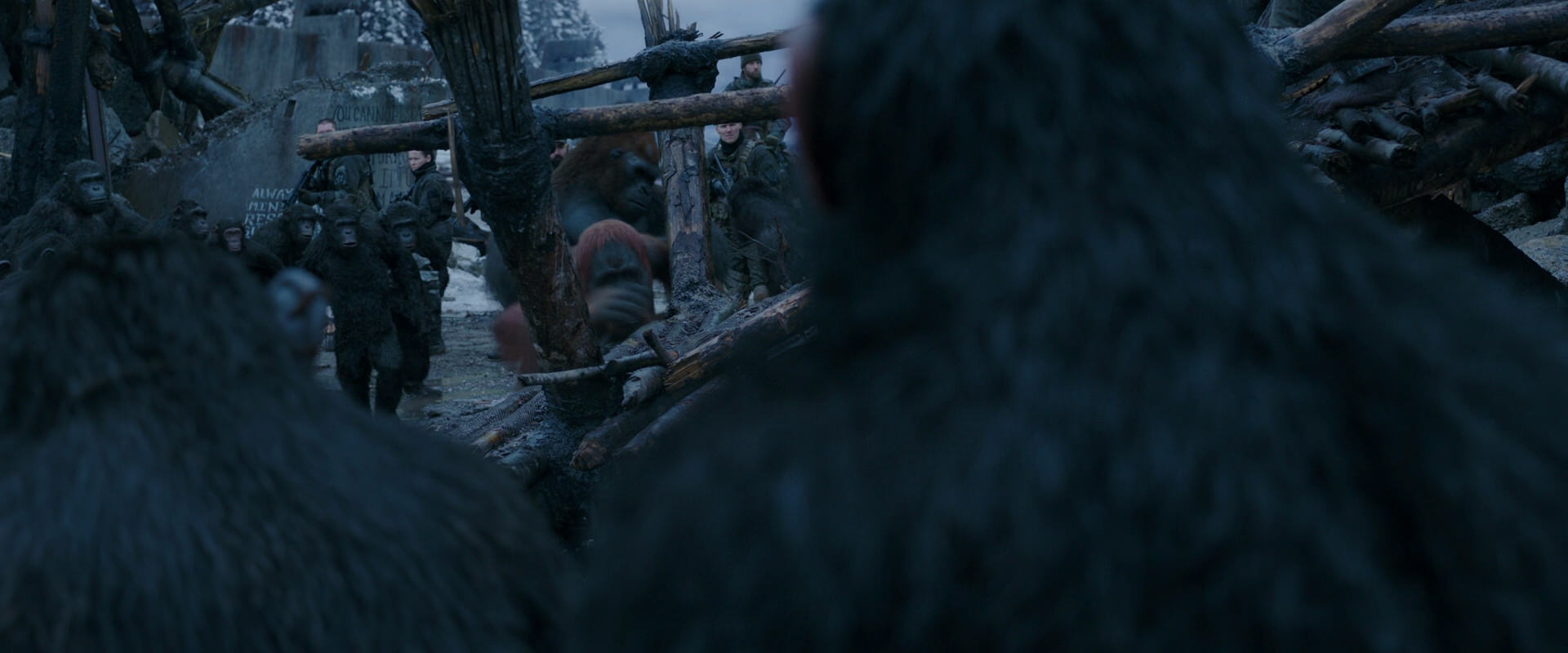 War for the Planet of the Apes (2017) screencap 8223