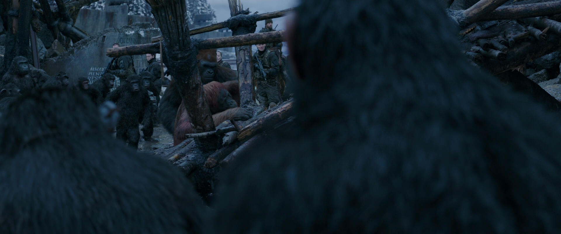 War for the Planet of the Apes (2017) movie still 8224