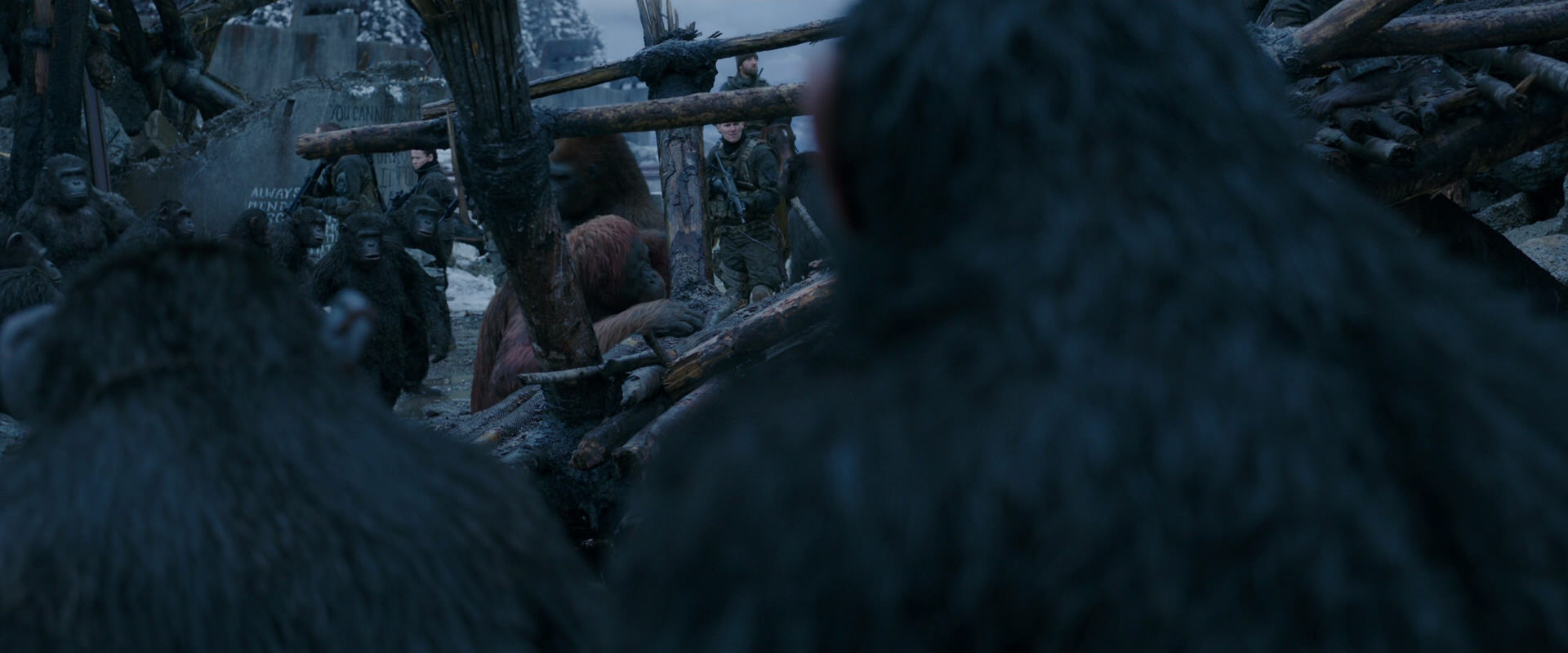 War for the Planet of the Apes (2017) HD screenshot 8225