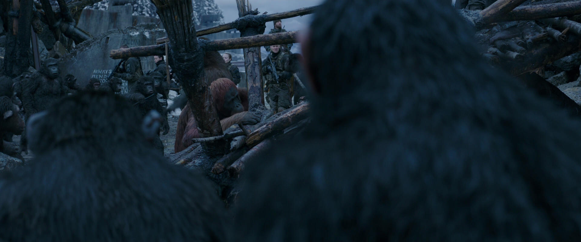 War for the Planet of the Apes (2017) screencap 8226