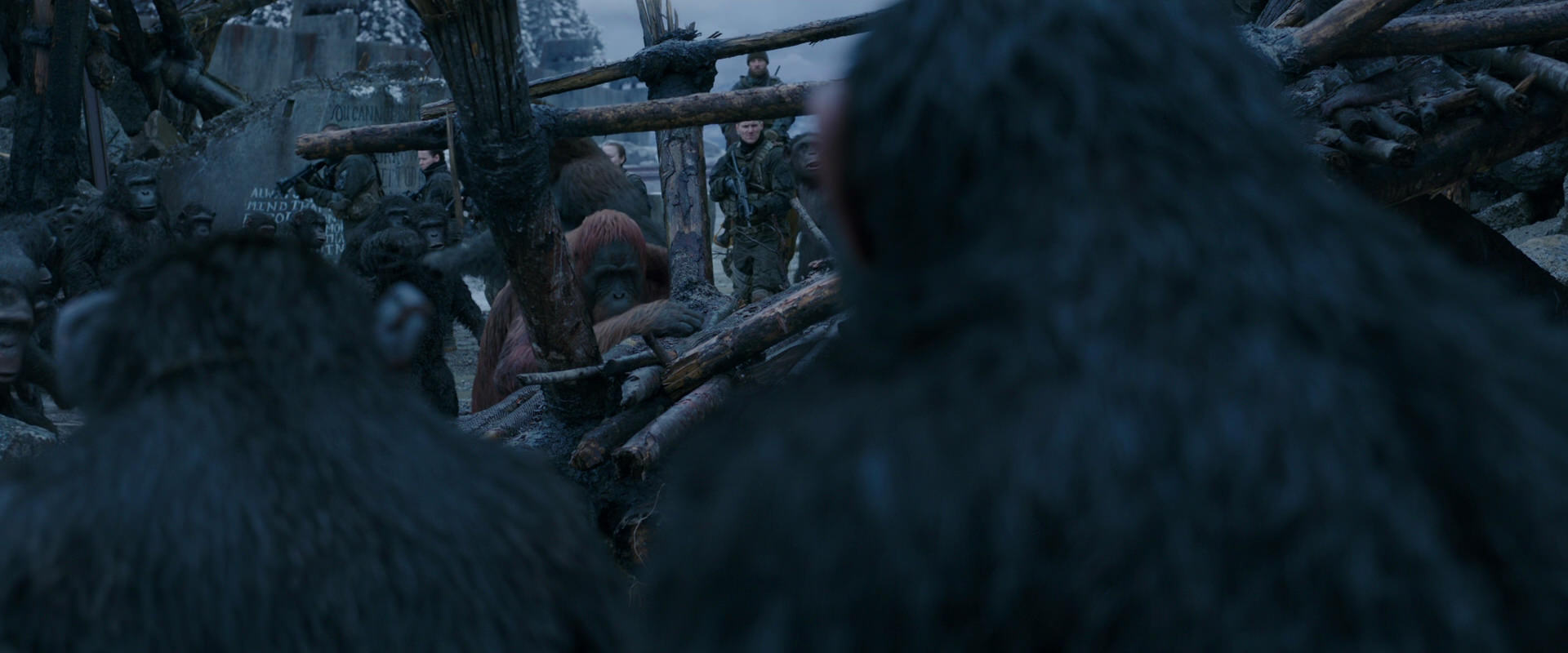 War for the Planet of the Apes (2017) movie still 8227