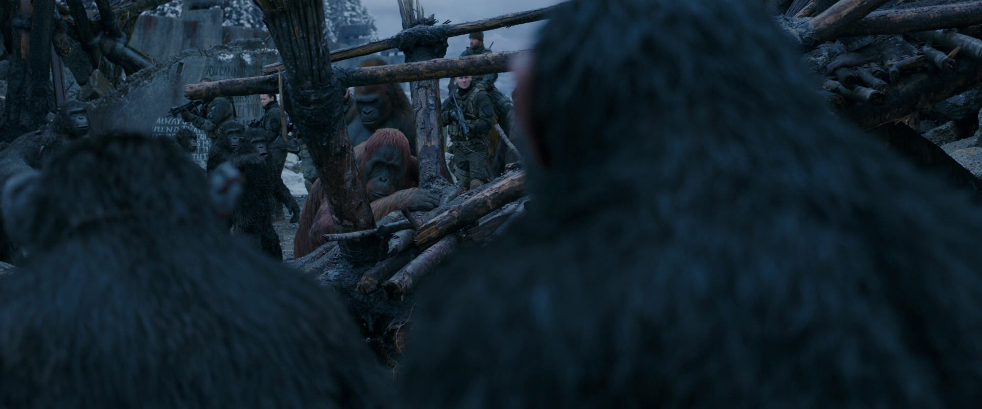 War for the Planet of the Apes (2017) HD screenshot 8228