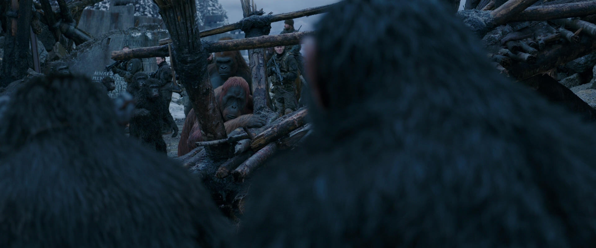 War for the Planet of the Apes (2017) screencap 8229