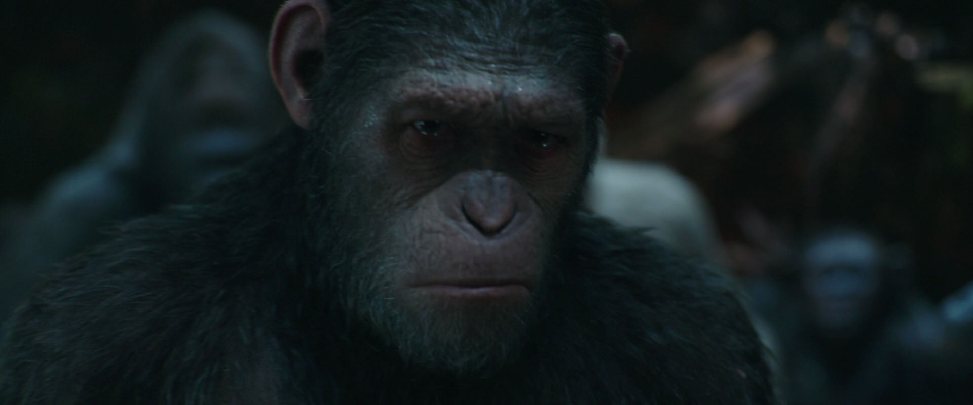War for the Planet of the Apes (2017) movie still 823