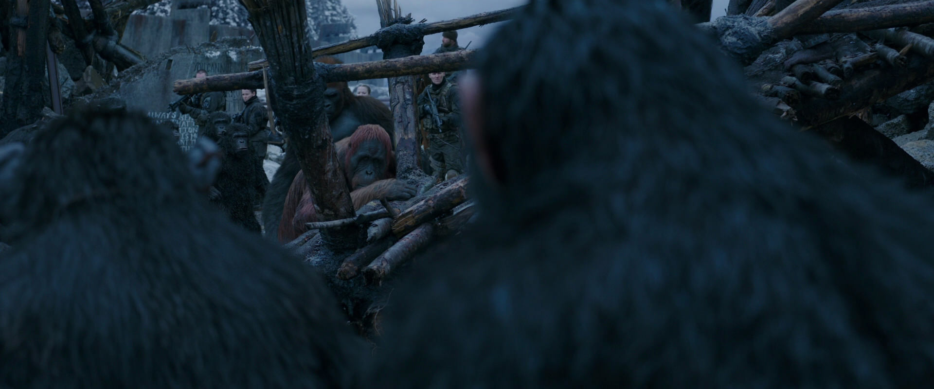 War for the Planet of the Apes (2017) movie still 8230