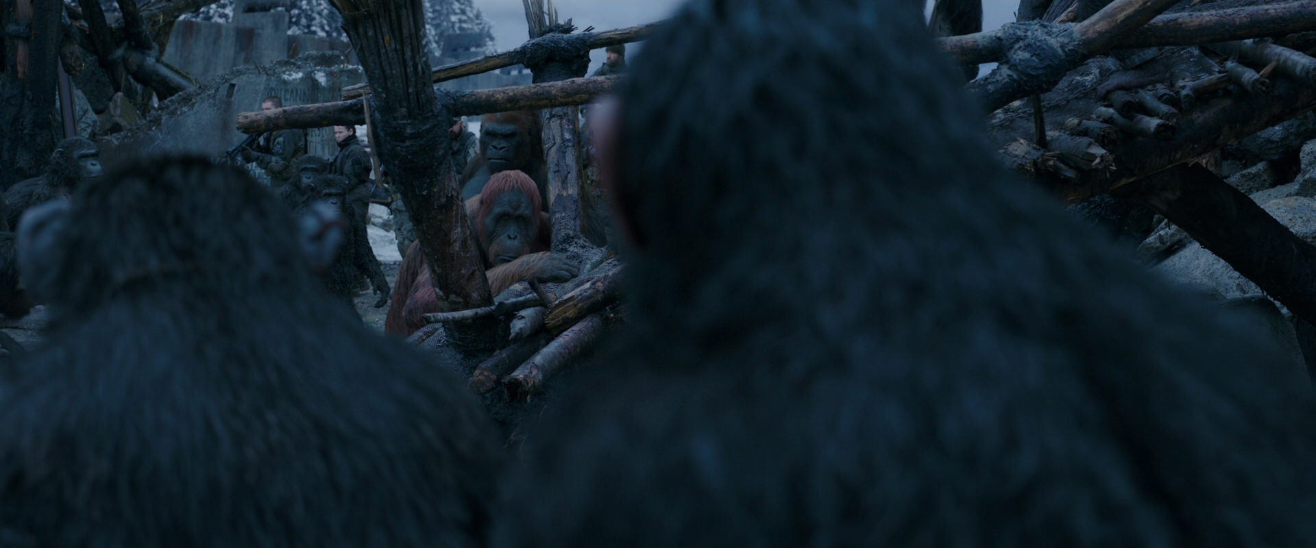 War for the Planet of the Apes (2017) screencap 8232