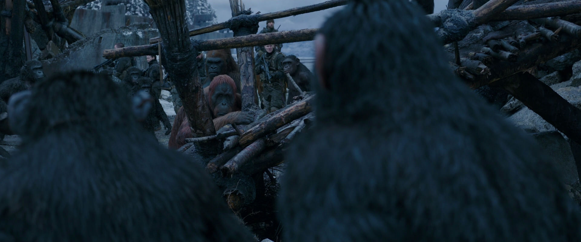 War for the Planet of the Apes (2017) movie still 8233