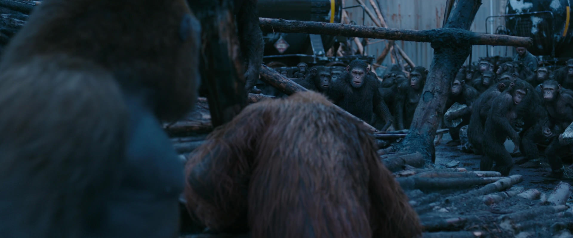 War for the Planet of the Apes (2017) HD screenshot 8234