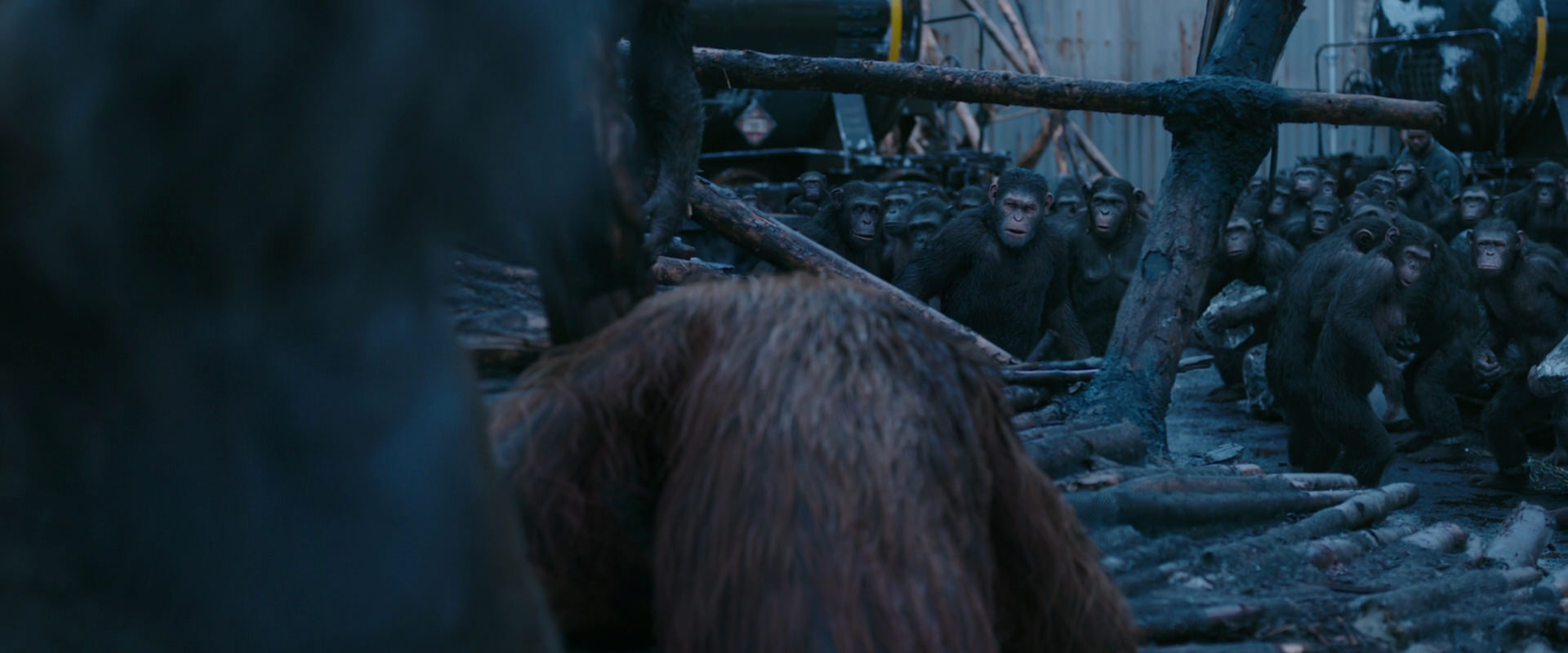 War for the Planet of the Apes (2017) screencap 8235