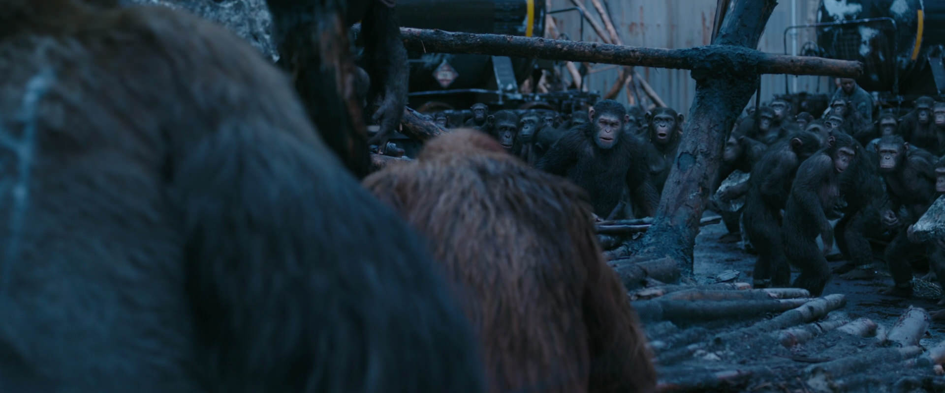 War for the Planet of the Apes (2017) movie still 8236