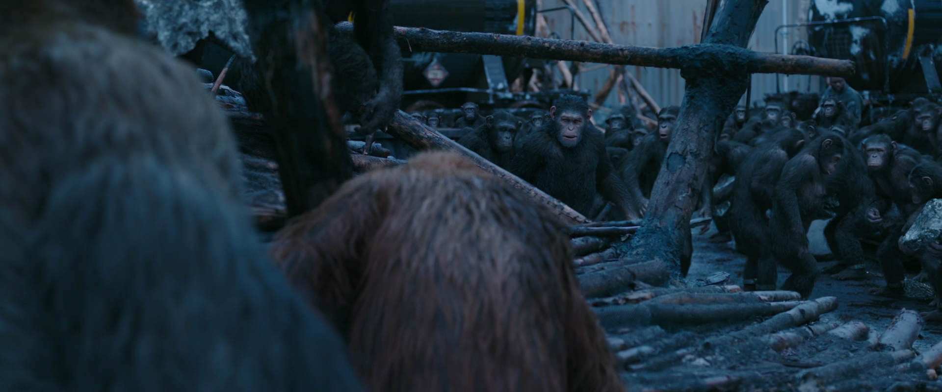 War for the Planet of the Apes (2017) HD screenshot 8237