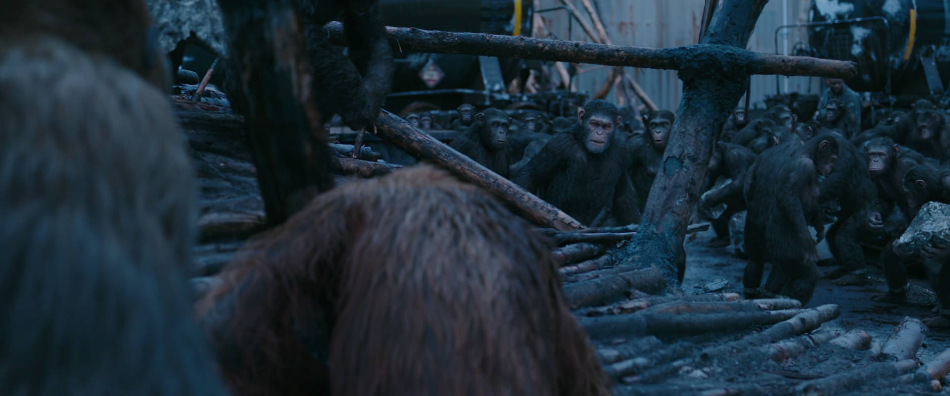 War for the Planet of the Apes (2017) screencap 8238