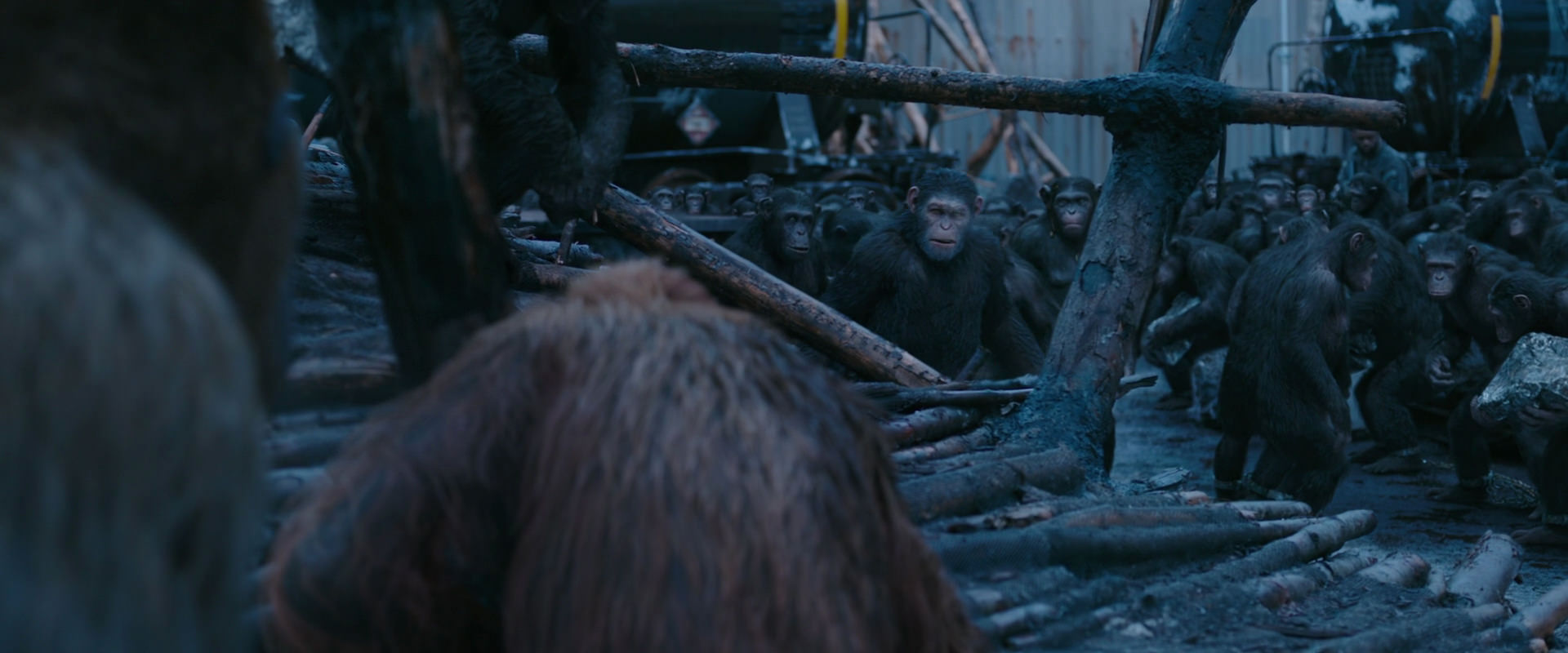War for the Planet of the Apes (2017) movie still 8239