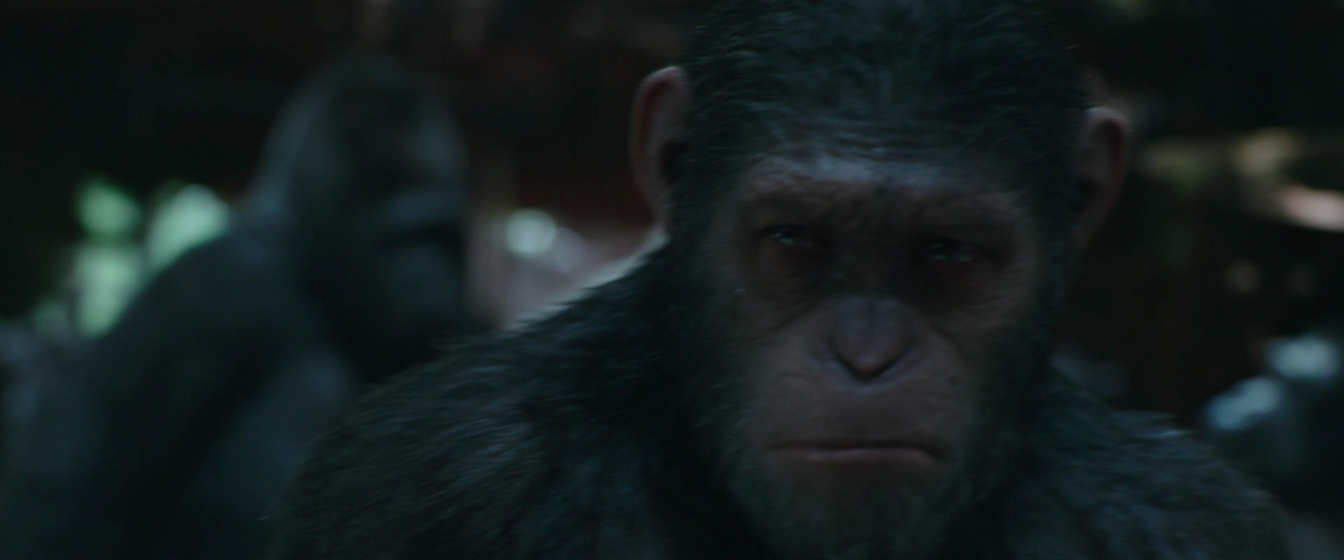 War for the Planet of the Apes (2017) HD screenshot 824
