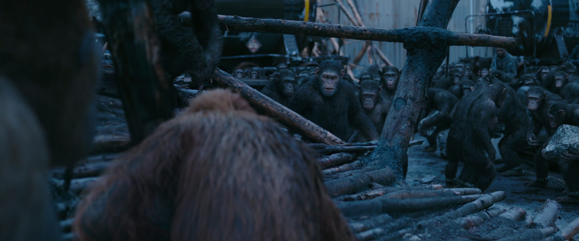 War for the Planet of the Apes (2017) HD screenshot 8240