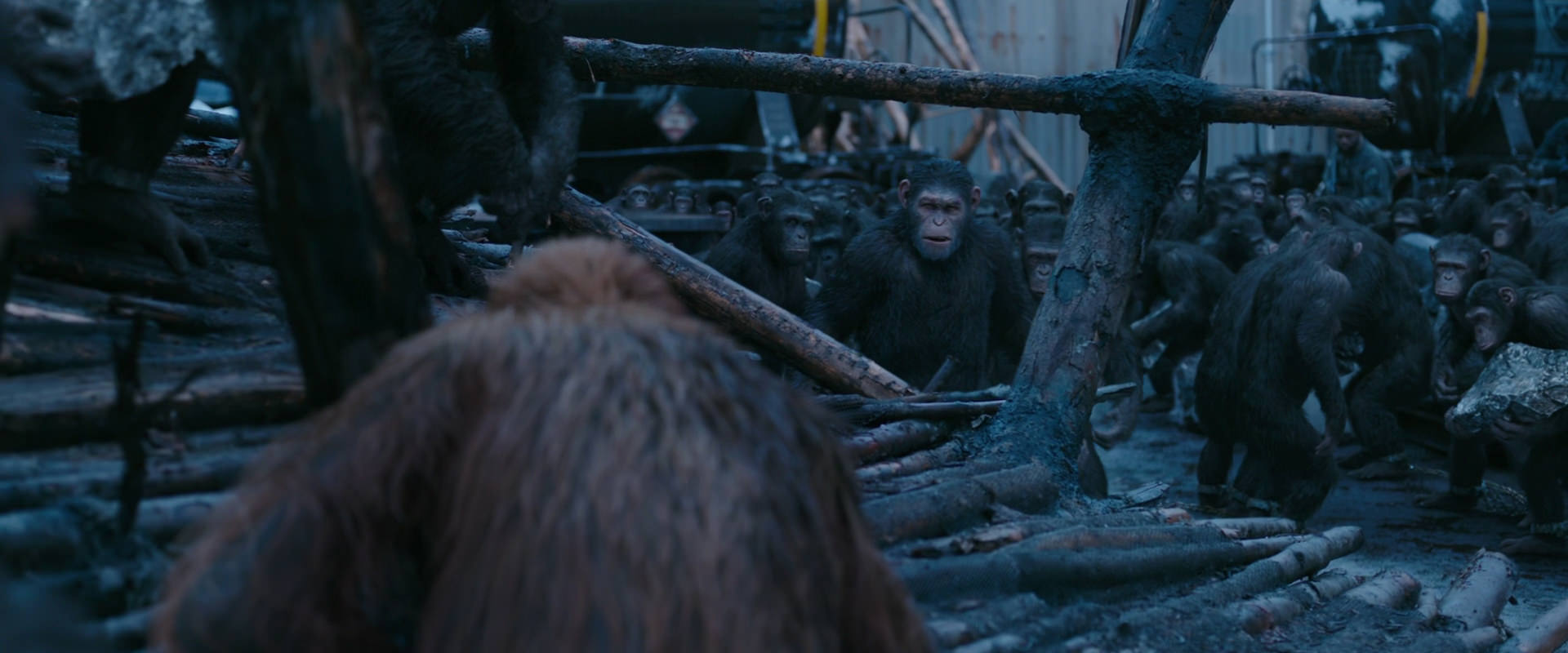 War for the Planet of the Apes (2017) screencap 8241