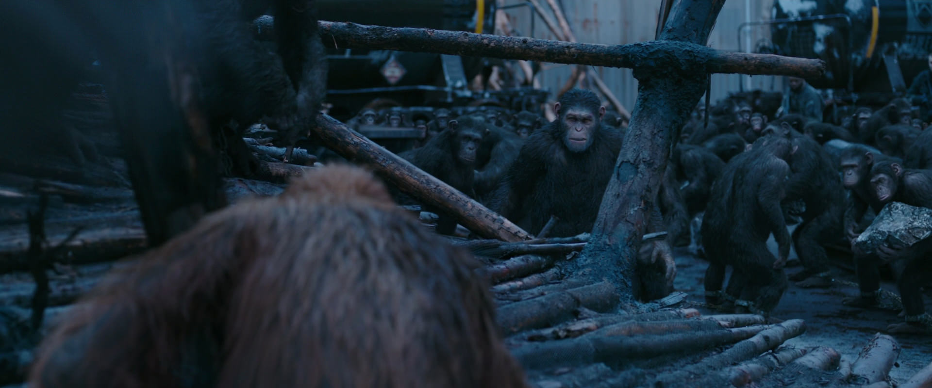 War for the Planet of the Apes (2017) movie still 8242