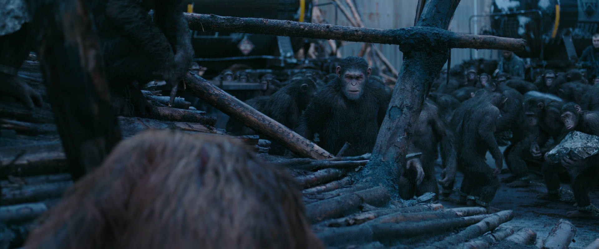 War for the Planet of the Apes (2017) HD screenshot 8243