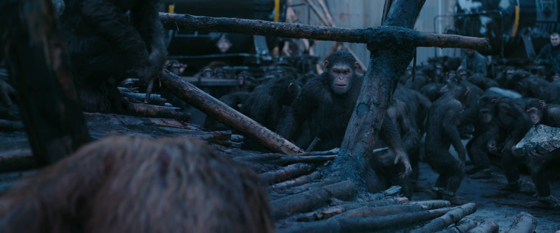War for the Planet of the Apes (2017) screencap 8244