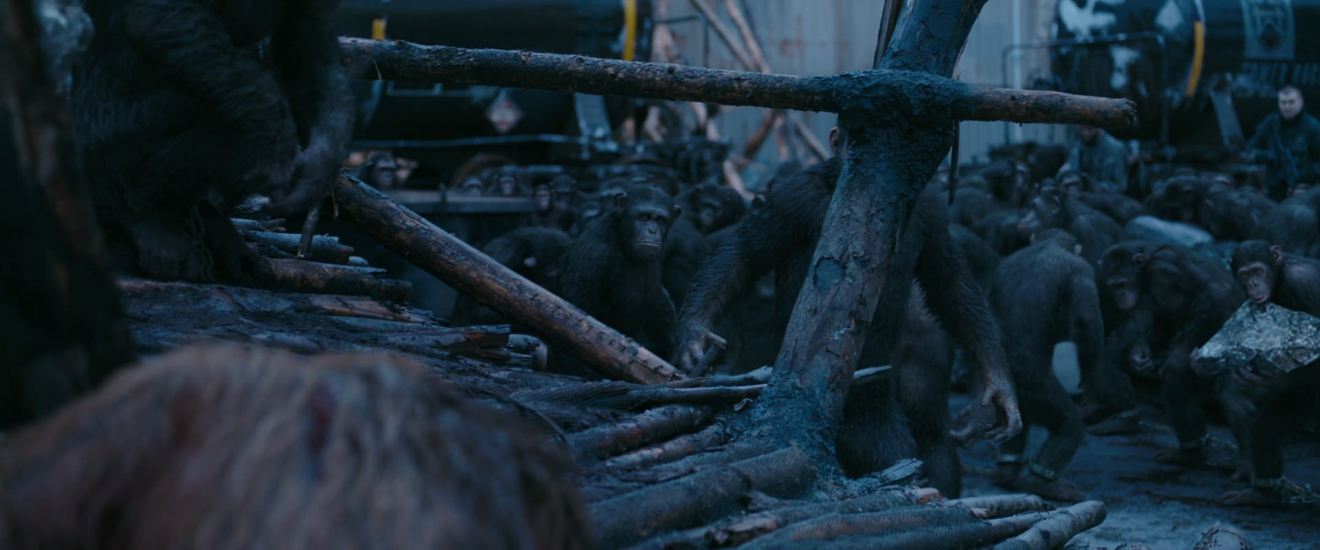 War for the Planet of the Apes (2017) movie still 8245
