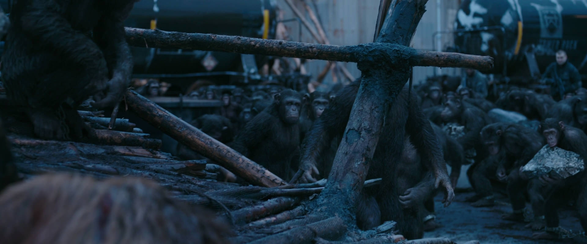 War for the Planet of the Apes (2017) HD screenshot 8246