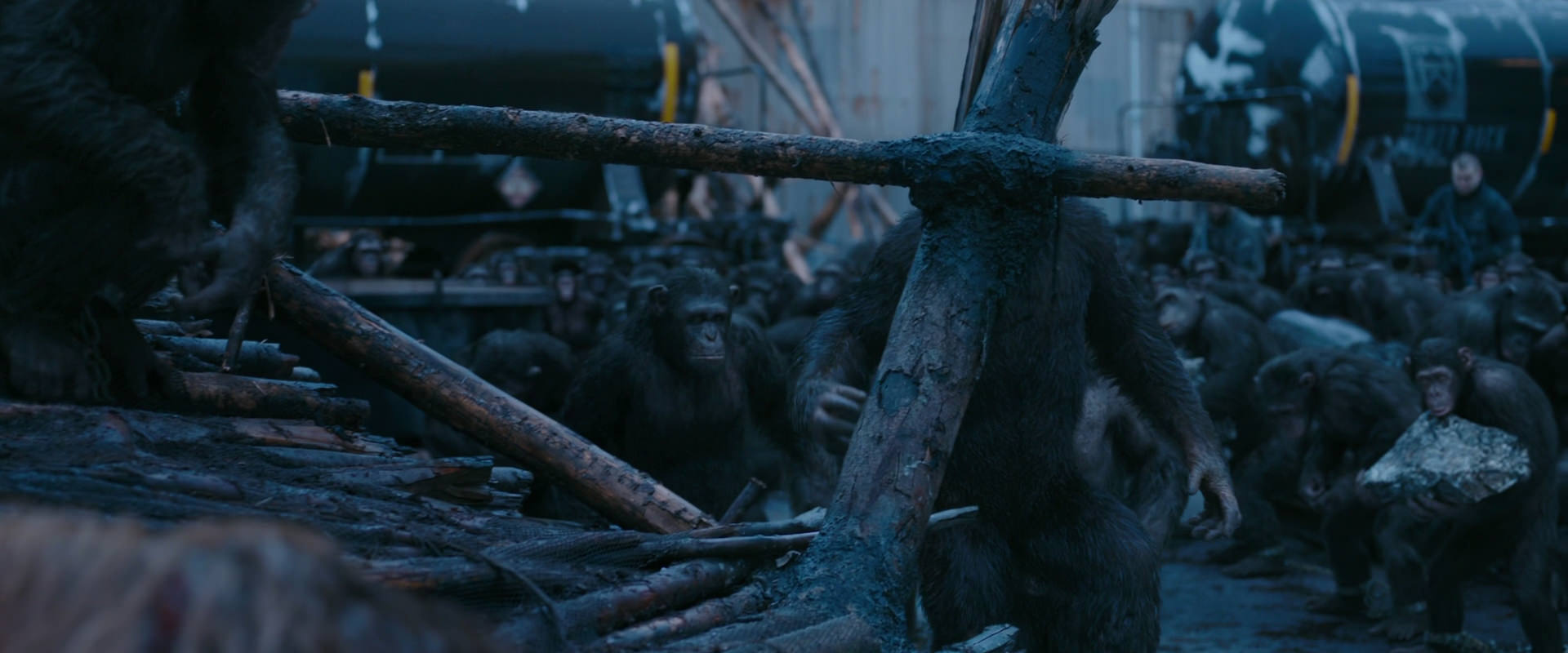 War for the Planet of the Apes (2017) screencap 8247