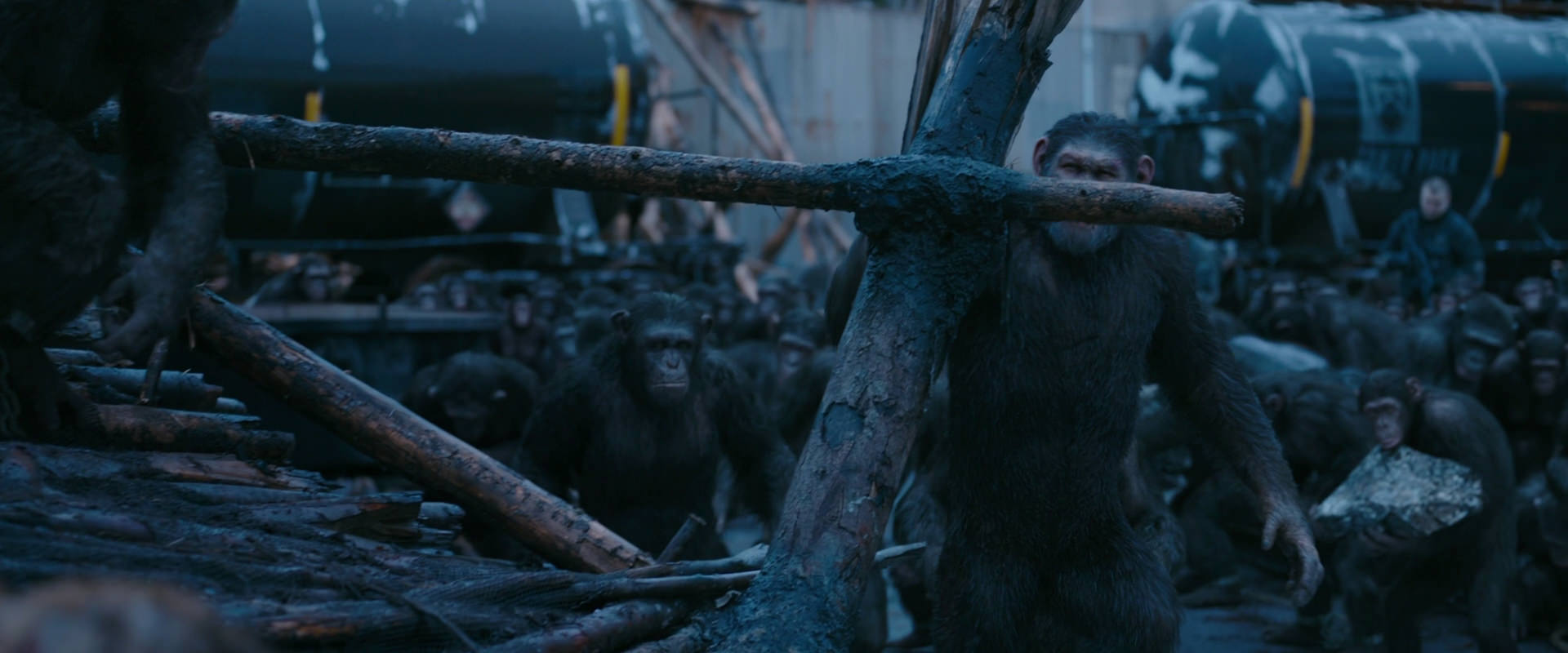 War for the Planet of the Apes (2017) movie still 8248