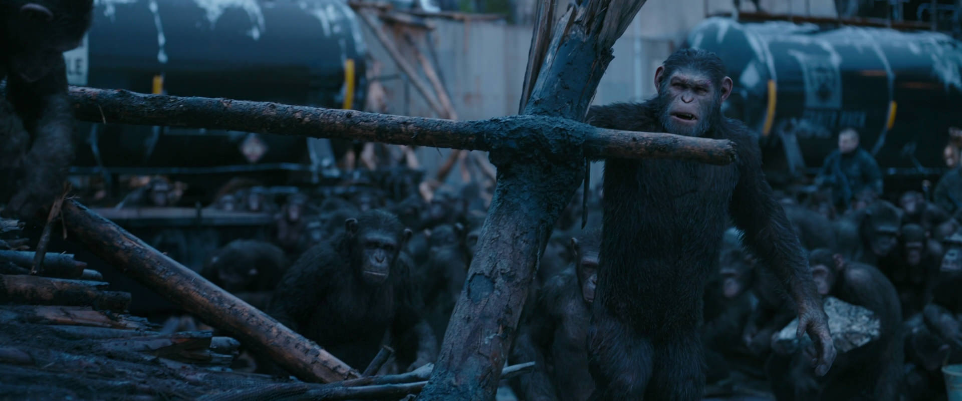War for the Planet of the Apes (2017) HD screenshot 8249