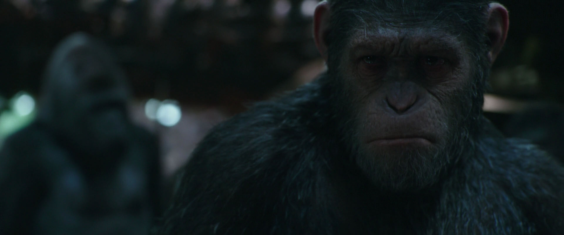 War for the Planet of the Apes (2017) screencap 825