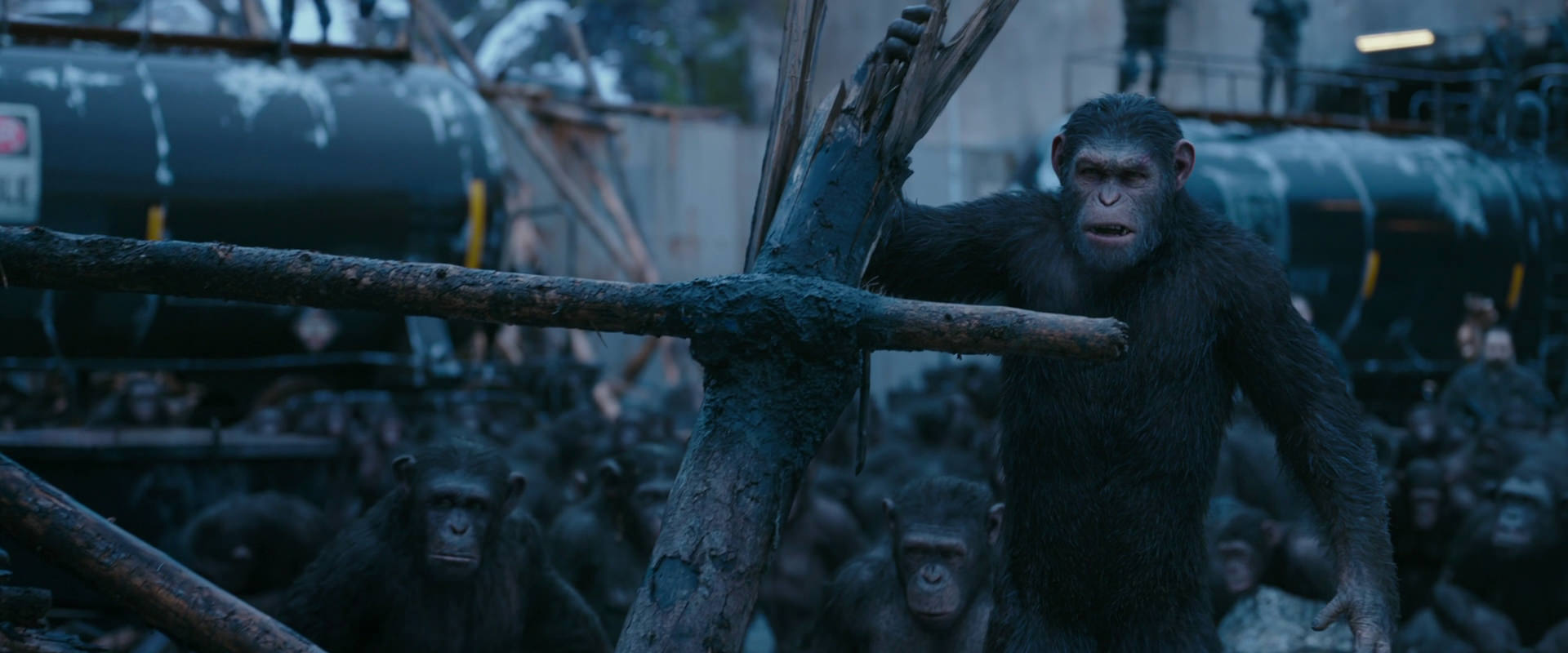 War for the Planet of the Apes (2017) movie still 8251