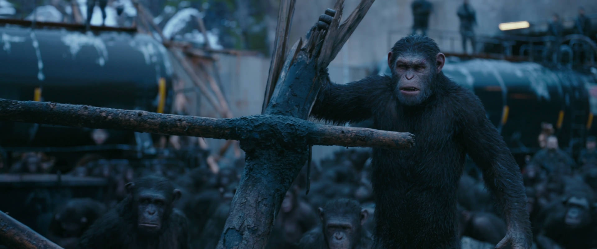 War for the Planet of the Apes (2017) HD screenshot 8252