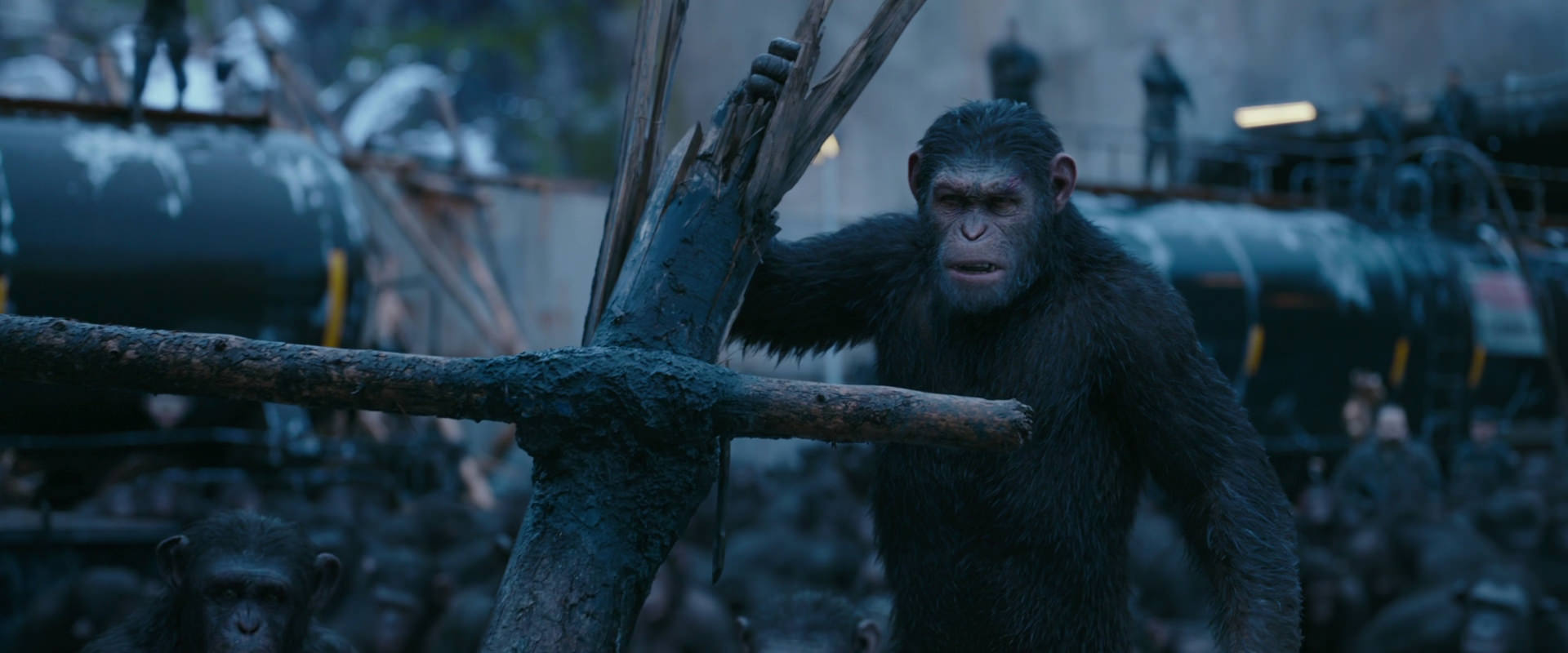 War for the Planet of the Apes (2017) movie still 8254