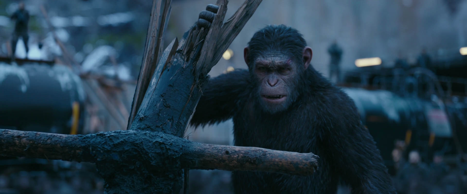 War for the Planet of the Apes (2017) screencap 8259