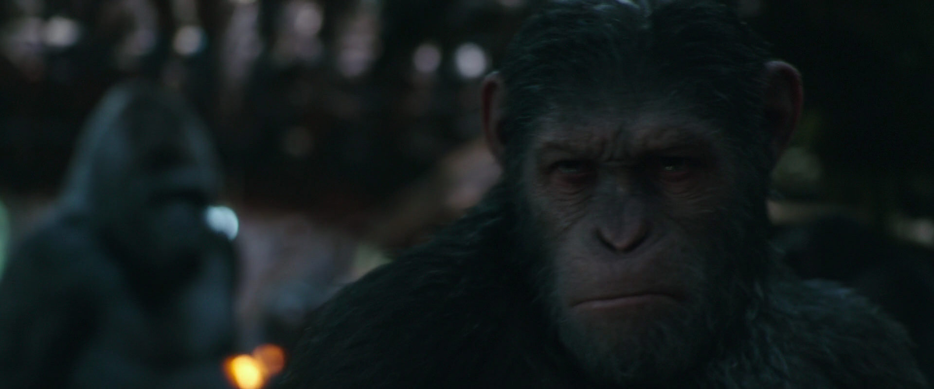 War for the Planet of the Apes (2017) movie still 826