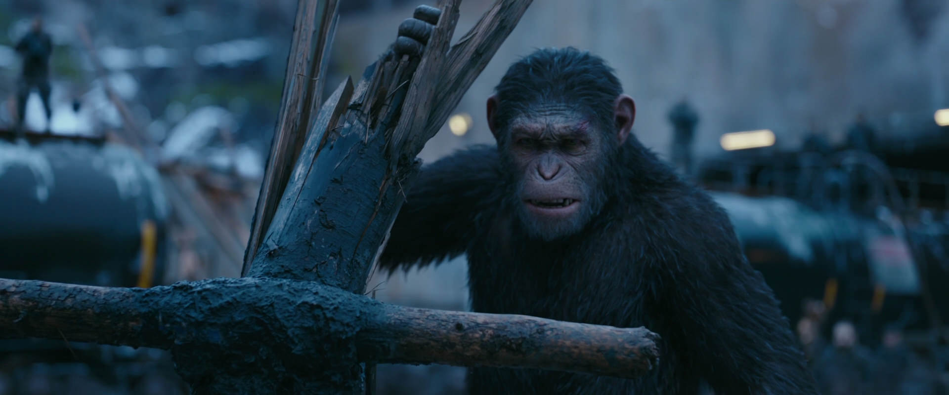 War for the Planet of the Apes (2017) movie still 8260