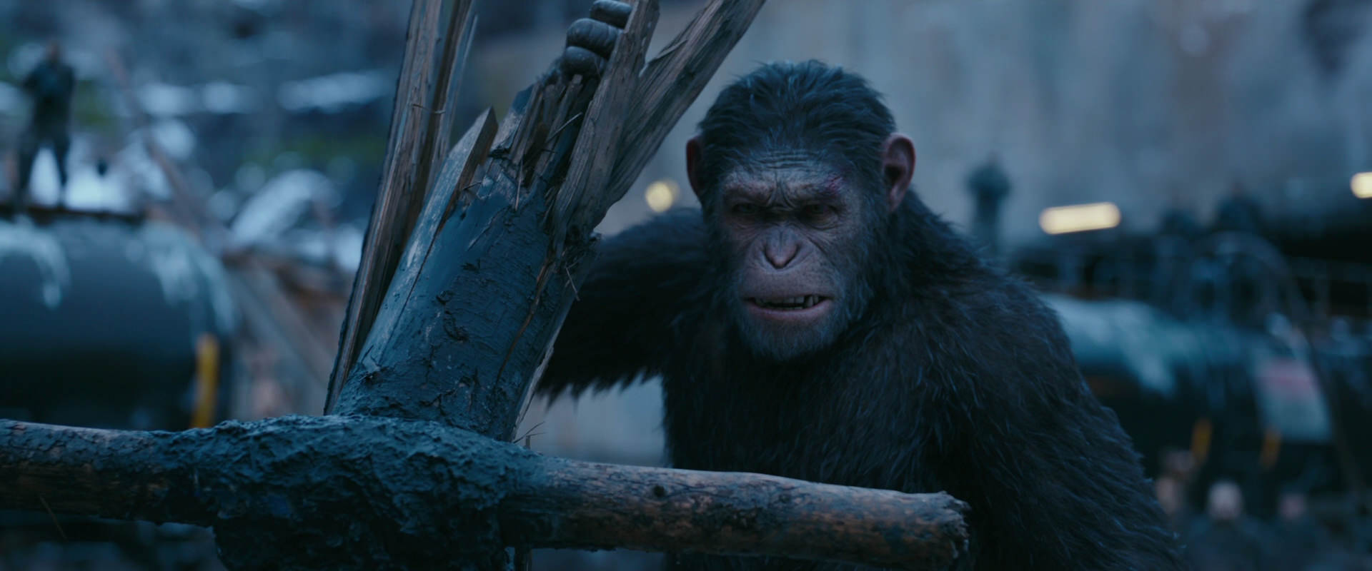 War for the Planet of the Apes (2017) HD screenshot 8261