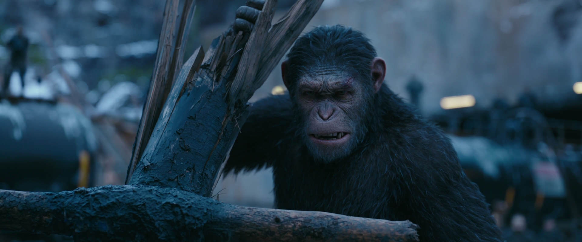 War for the Planet of the Apes (2017) screencap 8262
