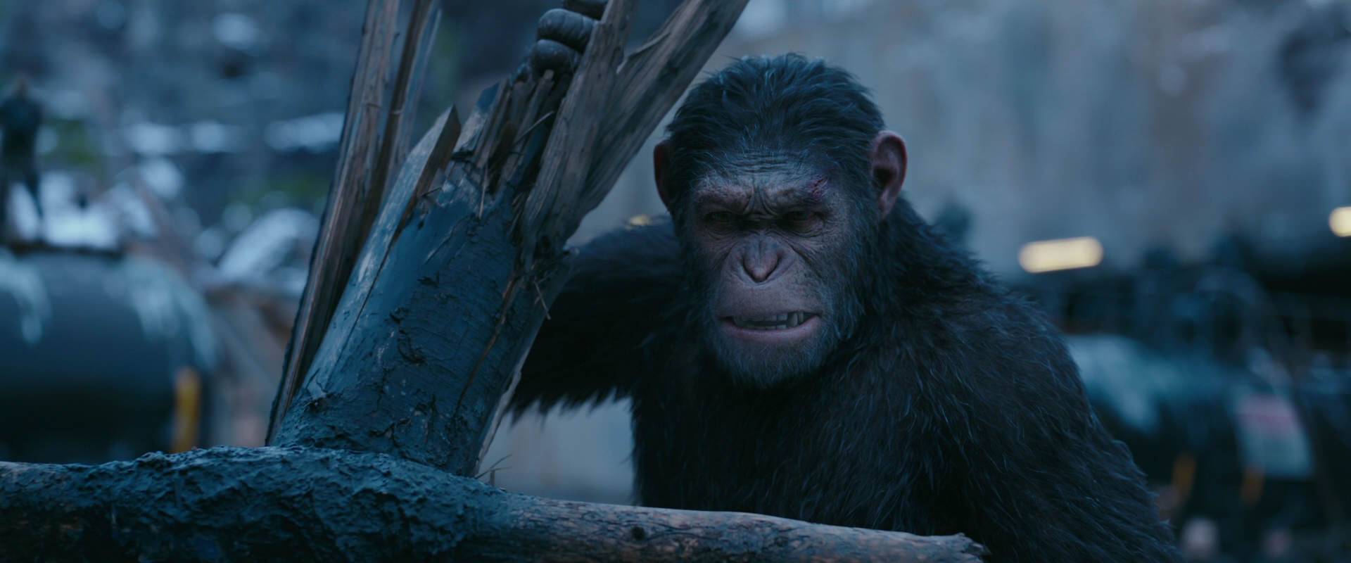War for the Planet of the Apes (2017) movie still 8263