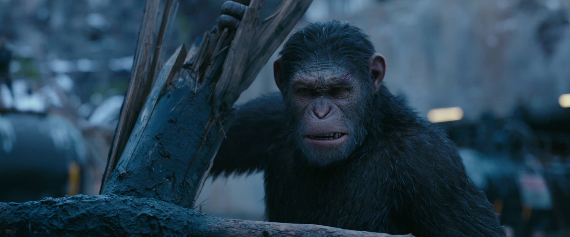 War for the Planet of the Apes (2017) HD screenshot 8264