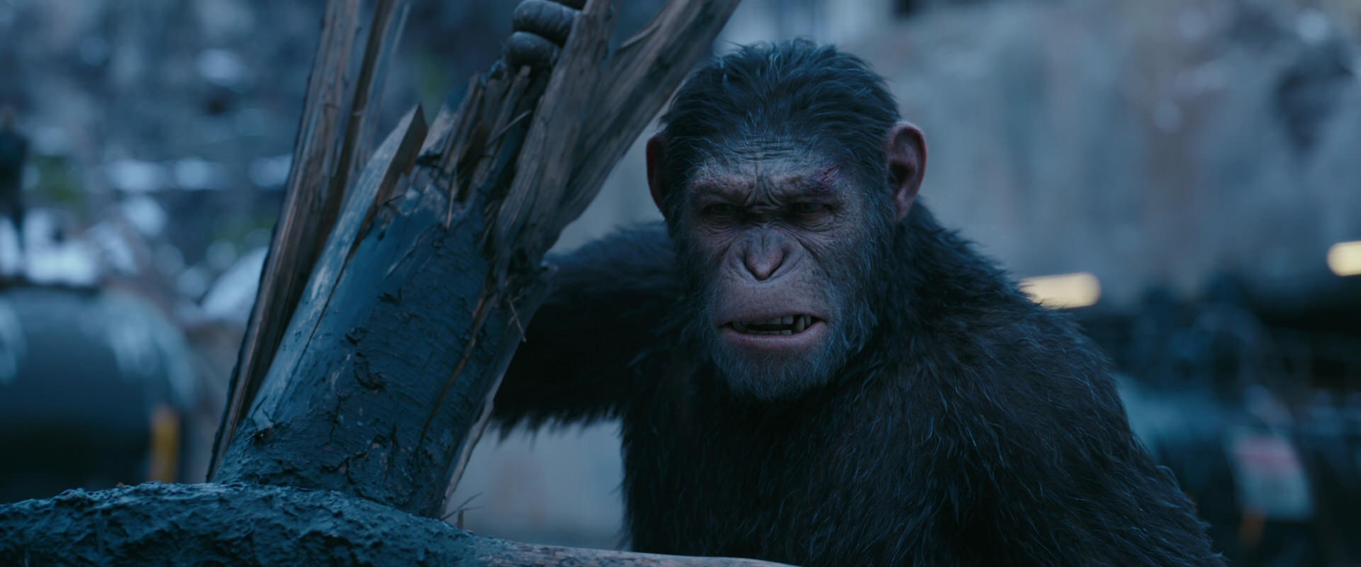 War for the Planet of the Apes (2017) screencap 8265