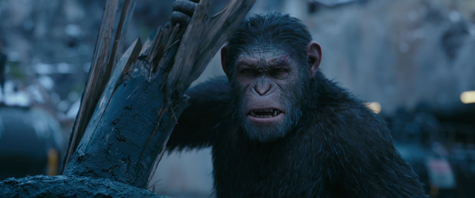 War for the Planet of the Apes (2017) movie still 8266