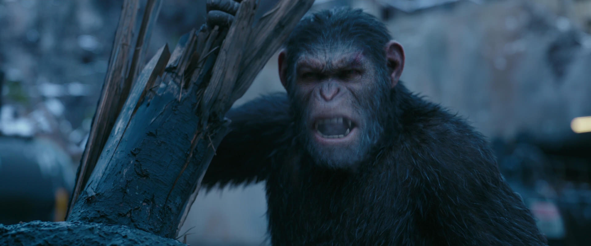 War for the Planet of the Apes (2017) HD screenshot 8267
