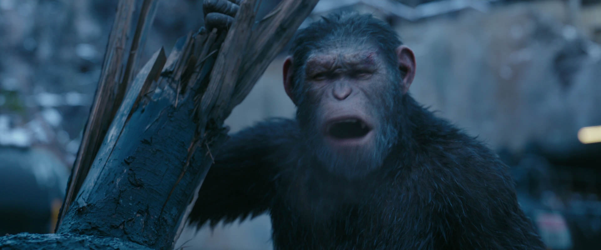 War for the Planet of the Apes (2017) screencap 8268