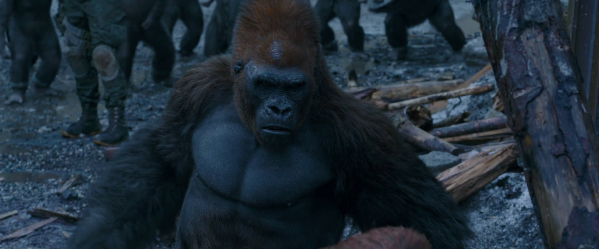 War for the Planet of the Apes (2017) screencap 8271
