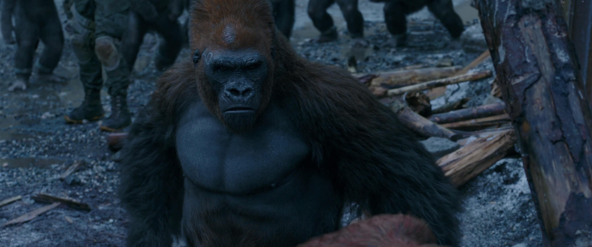 War for the Planet of the Apes (2017) HD screenshot 8273
